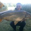 15,90 kg - Magyar Ádám - Monster Fish
