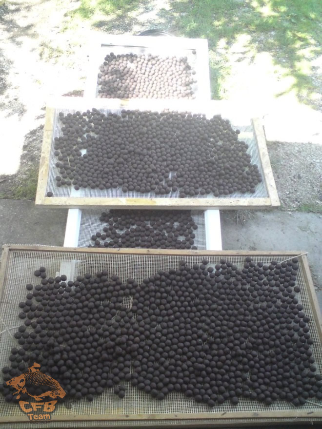 Egyesületi pontyhorgászat 2013.