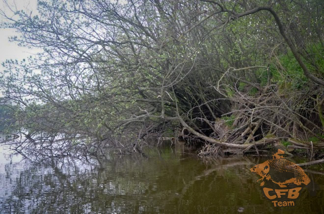 Szezonkezdet az Atkai holtágon