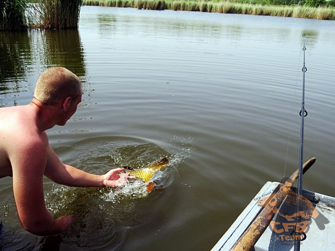 Harcias pontyok az akadókból