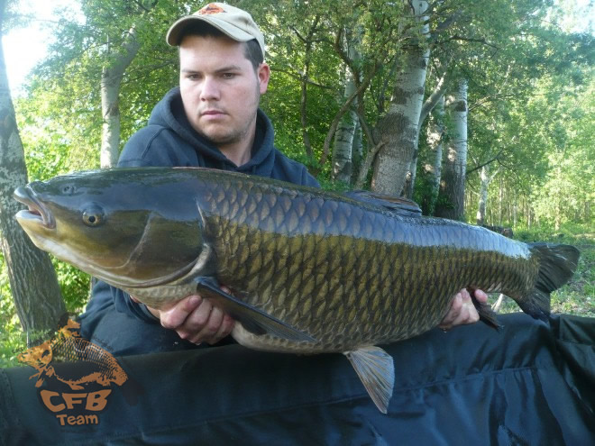 Korai Amurok