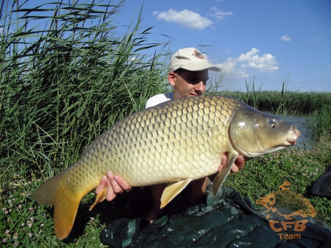 Tomboló kánikula