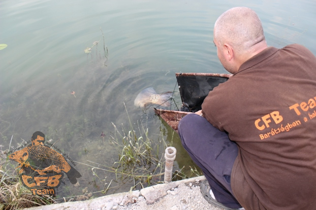 Lehűlő vízi pontyos praktikák