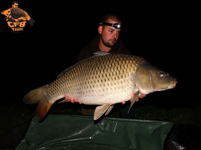 A lényeg: Catch & Release