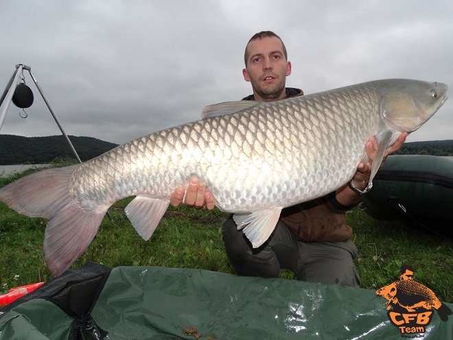 A lényeg: Catch & Release