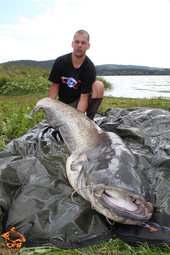 A lényeg: Catch & Release