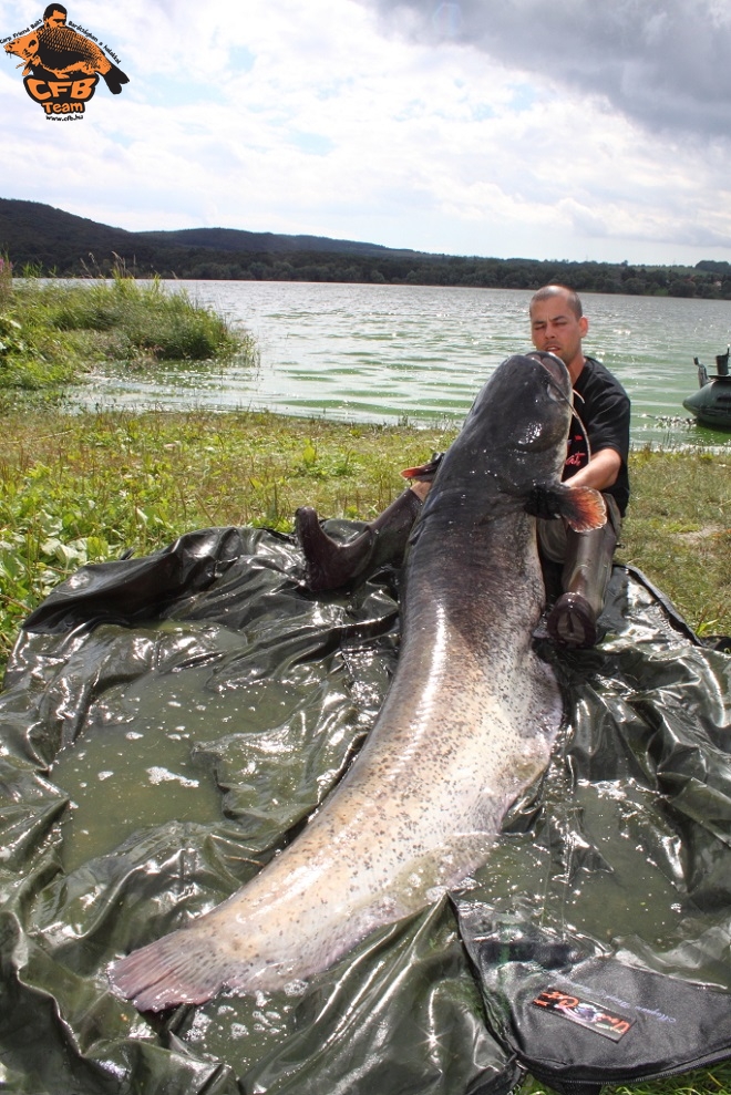 A lényeg: Catch & Release