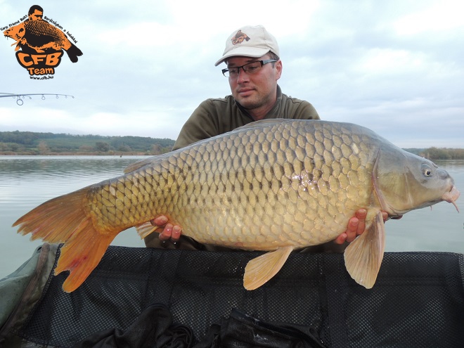 V. Misel Zadravec Carp Baits Nemzetközi Kupa Pölöske