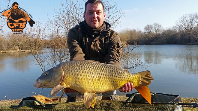 Tavaszköszöntő, avagy akcióban a Red Army – Sunshine Pineapple