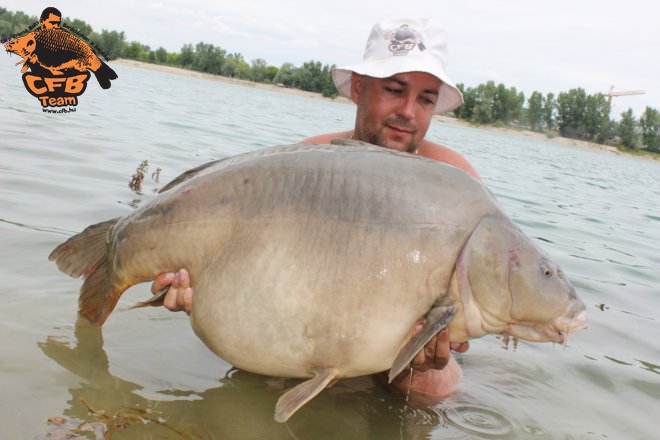 Óriások közé dobni és megfogni őket