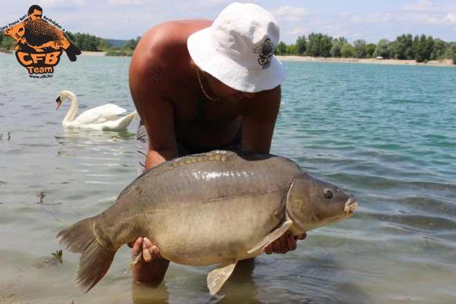 Óriások közé dobni és megfogni őket