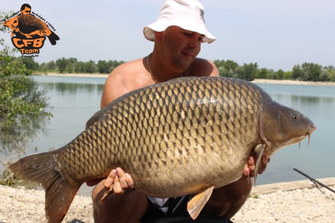 Óriások közé dobni és megfogni őket