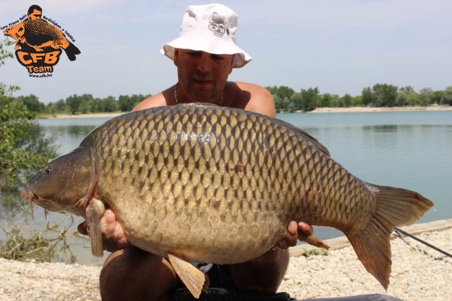 Óriások közé dobni és megfogni őket