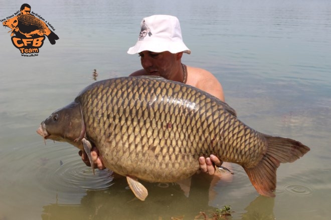 Óriások közé dobni és megfogni őket