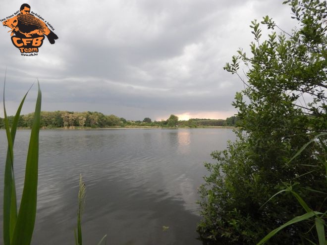 Háromfa a Zöld Pokol, CFB Natur sour és CFB Sunshine bojlikkal