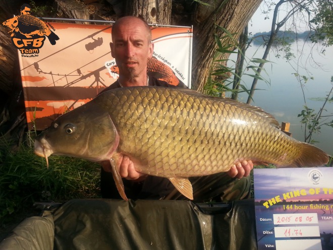 Jungle Carp Cup - Zalaszentmihály 2015