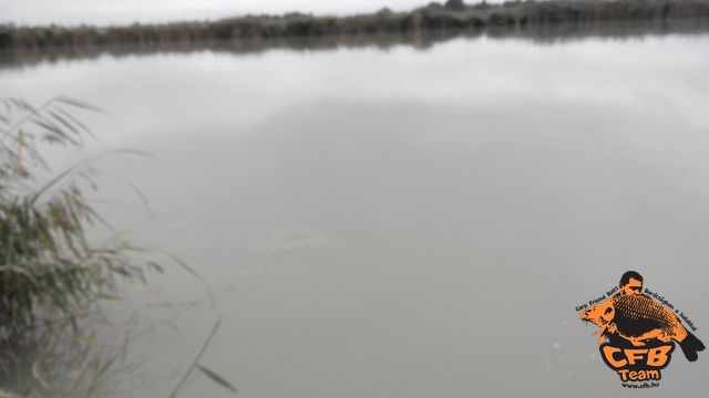 Akasztói, sziki pontyok nyomában a CFB-vel