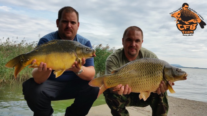 Szeptemberi rövid peca a Balatonon