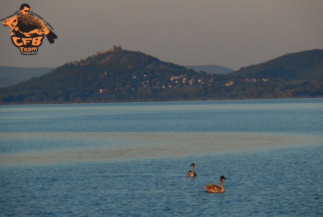 Finomszerelékkel a Balatonon