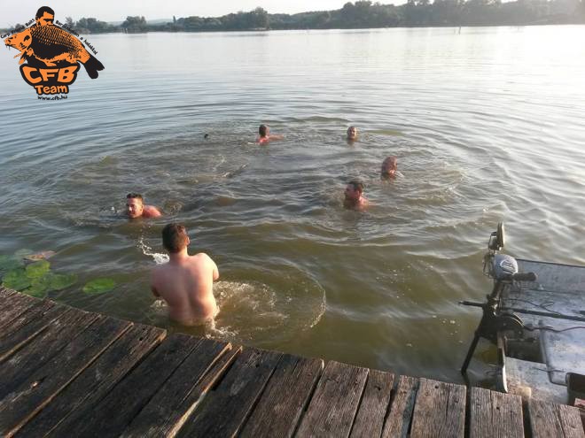 Zavaros kezdetű Dzsungel királya kupa a kedvenc tavamon