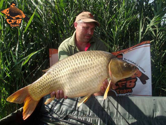 Zavaros kezdetű Dzsungel királya kupa a kedvenc tavamon