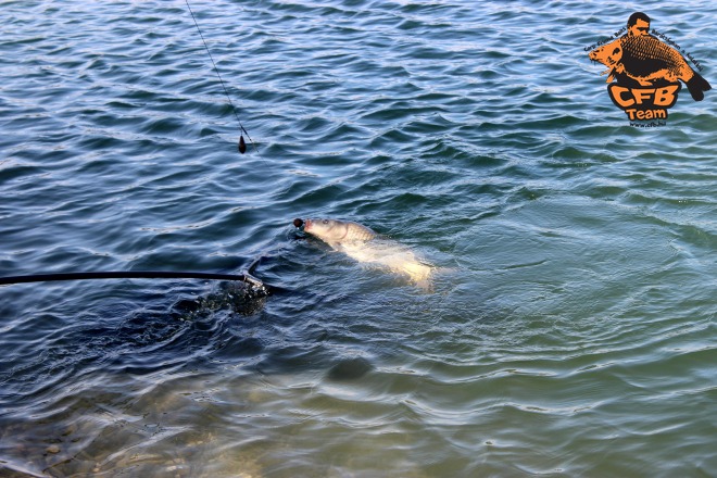 Manapság már csak a „Lac” a menő?