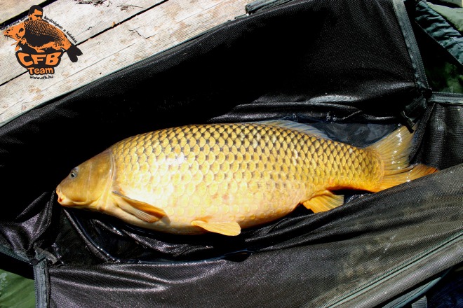 Manapság már csak a „Lac” a menő?