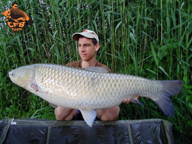 Első nyári horgászat Móron