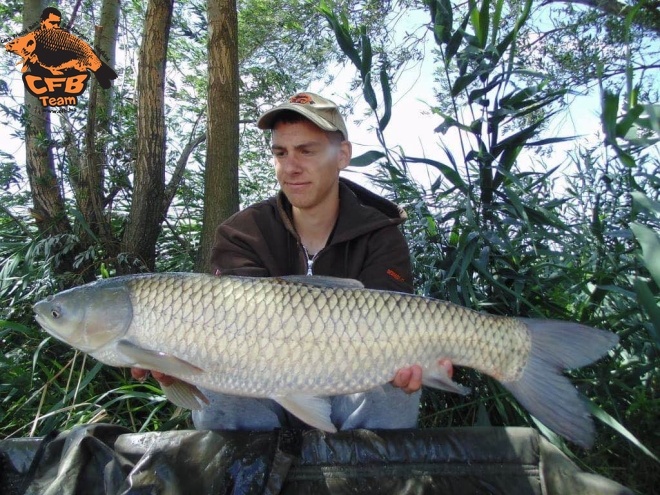 Nyári nap a pátkai Róth tavon