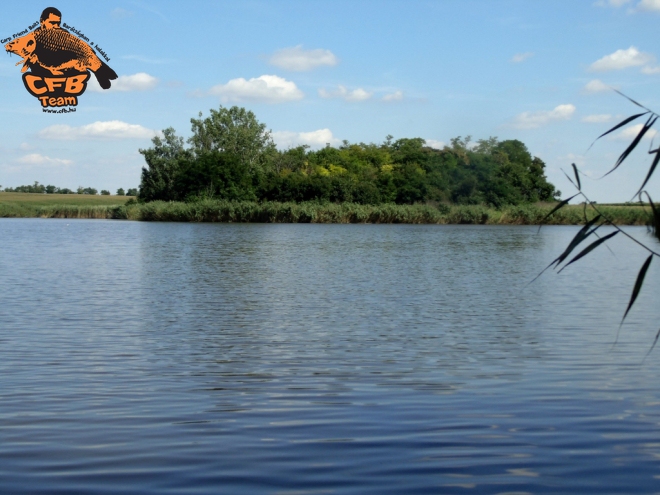 River bojlival a kislóki horgásztavon