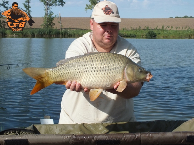 Feeder praktikák CFB termékekkel