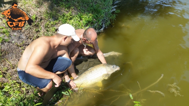 Jungle Carp Cup