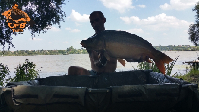 Jungle Carp Cup