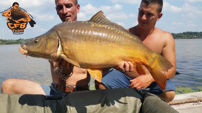 Jungle Carp Cup