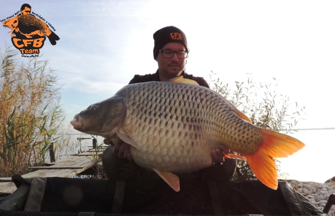 Novemberi peca a Balatonon