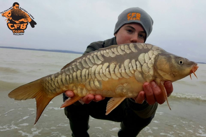 Szezonnyitó feederezés a Balatonon