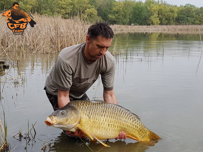 V. Carp Classic Kupa Nagyréde 2017