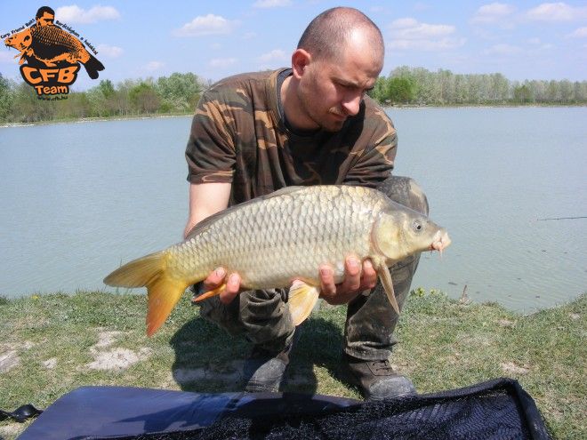 Szép idő, szép halak