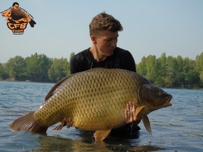 Egy hosszú út egyik legszebb állomásán