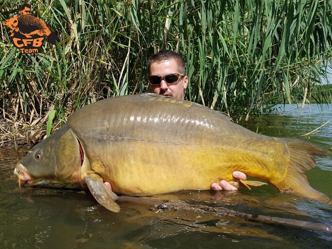 Első "randi" a Full Fish-el