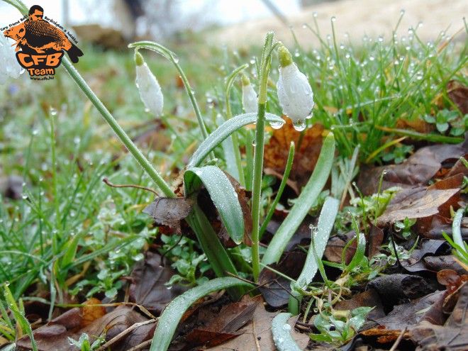 Szezonnyitó horgászat a Széki-tavon