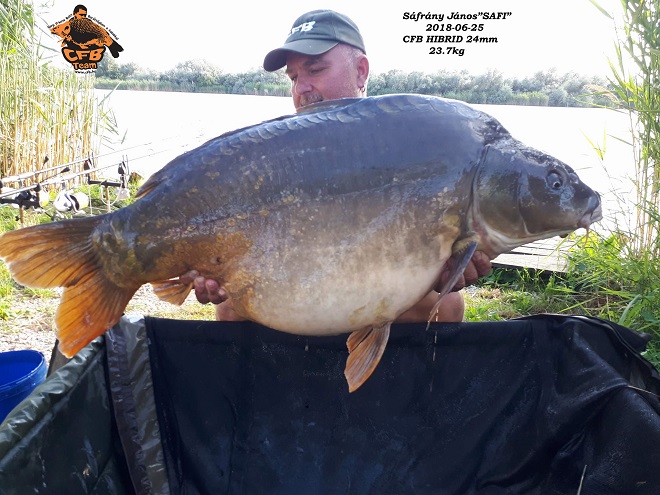 Sáfrány János - 23,7 Kg