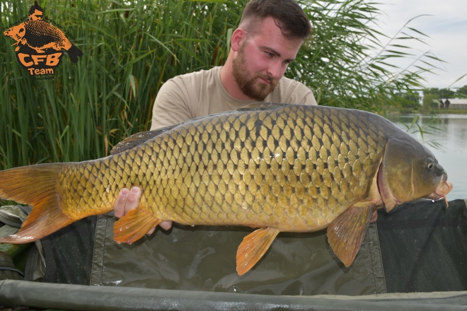 Egy hét a Big Carp Lake-en