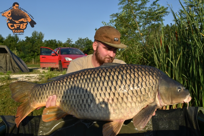 Egy hét a Big Carp Lake-en