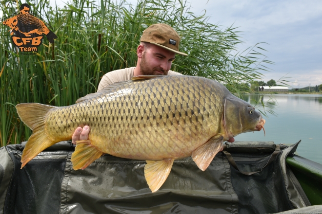 Egy hét a Big Carp Lake-en