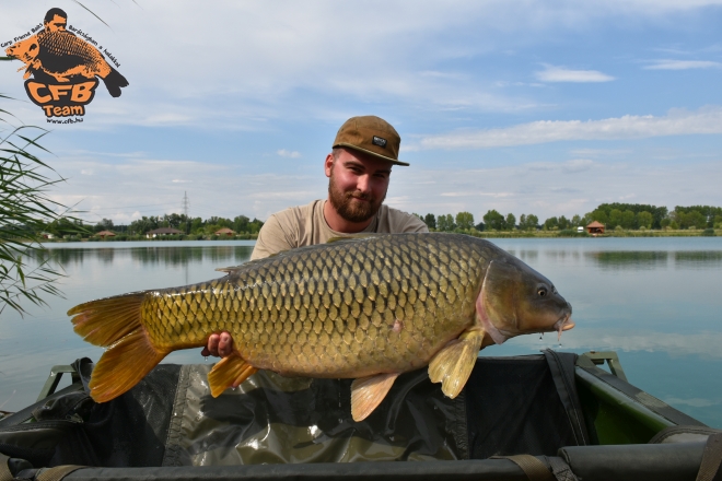 Egy hét a Big Carp Lake-en