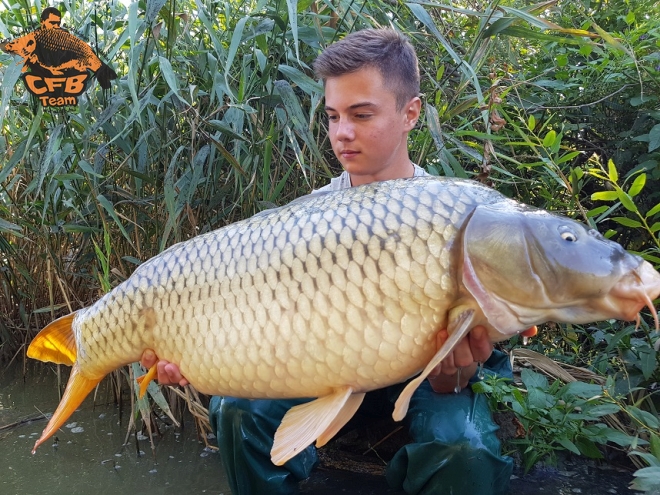 Pontyok a hőség előtt