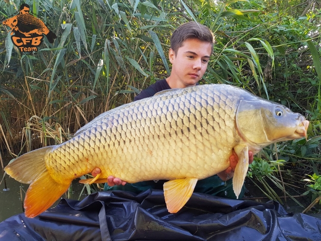 Pontyok a hőség előtt