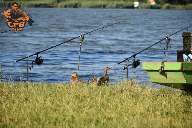 Mészégető Máté küldte: Merenyei túra