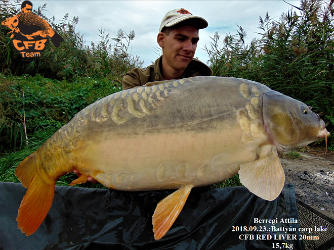 Évszak váltásban a Battyán Carp Lake-n